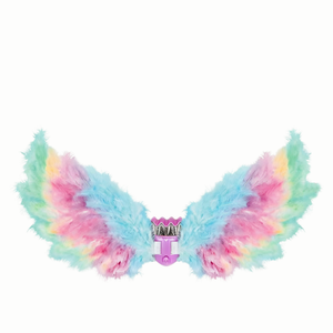Angel Electrical Wings | Rainbow