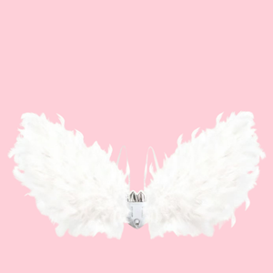 Angel Electrical Wings | White