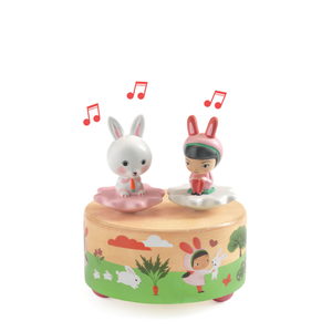 Whimsical Wooden Magnetic Music Box | Ballerina Melody